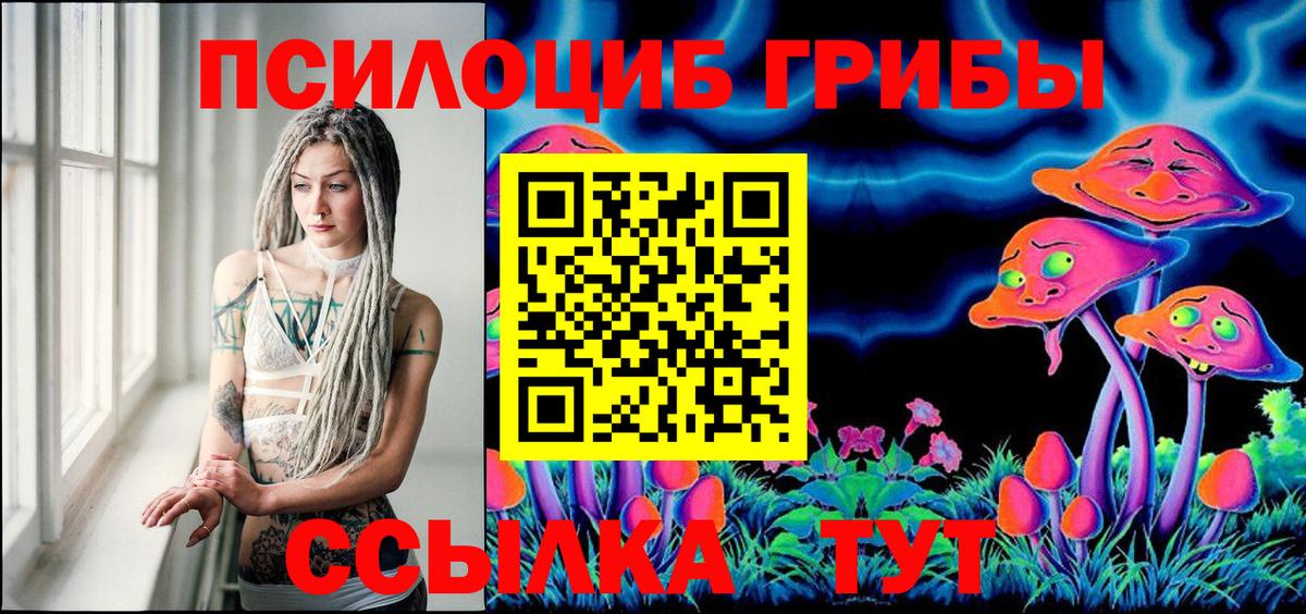 Киров  Псилоцибиновые грибы MAGIC MUSHROOMS  Вход с VPN  Галлюциногенные грибы MAGIC MUSHROOMS 